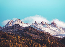 夸张！7轮13球！瓦科补时破门完成双响，泰山再度扳平2-2申花